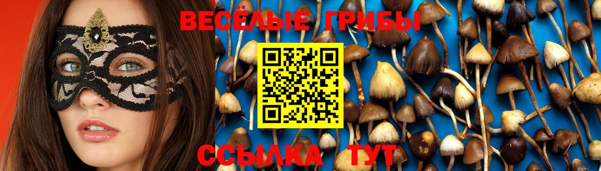 Псилоцибиновые грибы Psilocybine cubensis  закладка  Псилоцибиновые грибы мицелий  Новокузнецк  Вход с VPN 